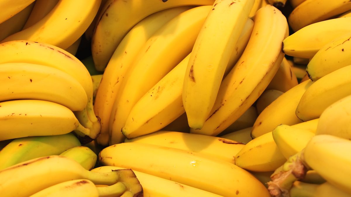 bananas, banana, bunch, tropical, fruit, diet, food, group, healthy, yellow, arrangement, calorie, crop, display, eatable, eats, edible, fat, feed, fruits, goodies, isolated, low, natural, nonfat, nourishment, nutrients, nutriment, nutrition, organic, produce, product, provision, snack, white