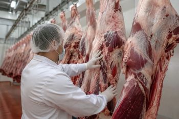 Polska wołowina przechodzi test Korei. Mercosur musi przejść test standardów