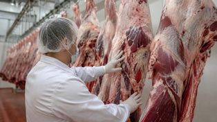 Polska wołowina przechodzi test Korei. Mercosur musi przejść test standardów