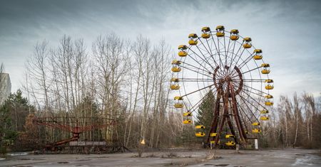 Czarny grzyb z Czarnobyla. Żywi się promieniowaniem i potrafi je blokować