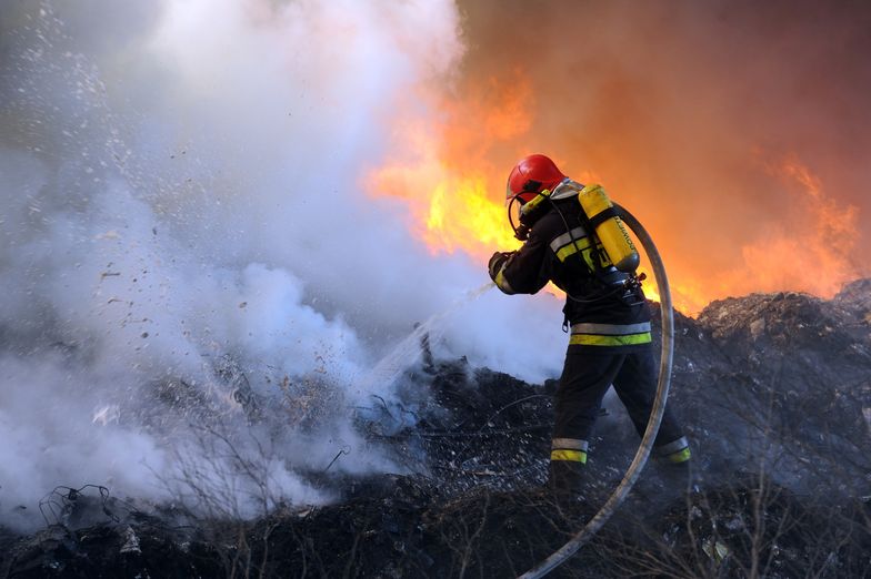 Wielki pożar w Łódzkiem. Setki spalonych zwierząt