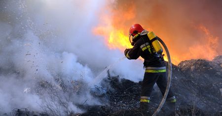 Wielki pożar w Łódzkiem. Setki spalonych zwierząt
