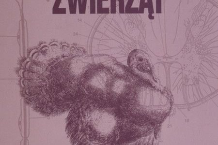 Criminal Minds - Zabójcze Umysły 1. Ostre cięcie