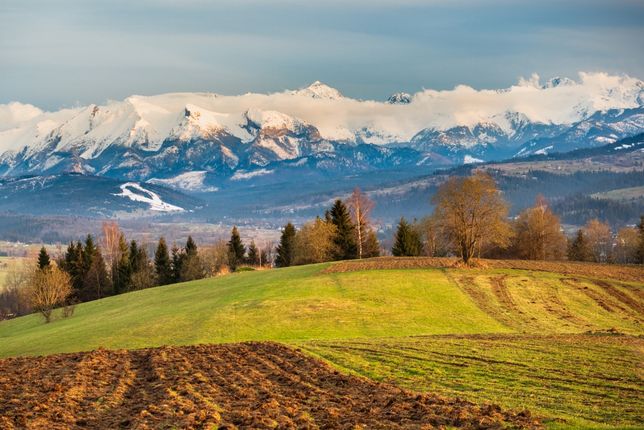 Widok na Tatry z Czarnej Góry