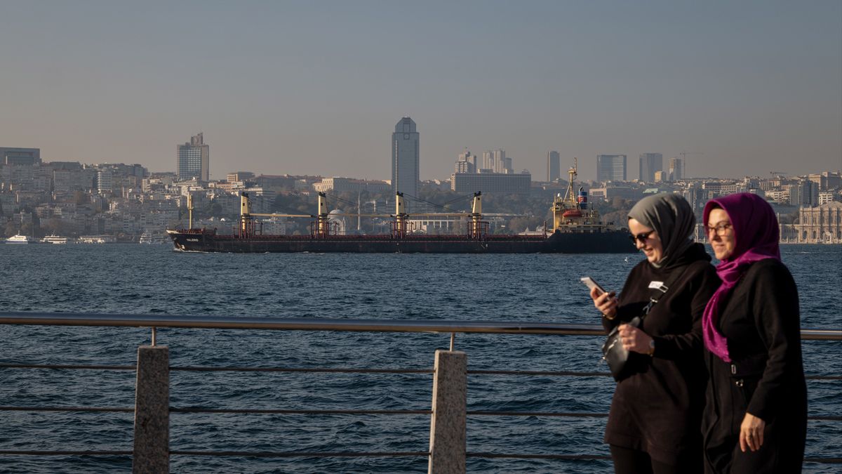 Grain Vessels in Bosporus Strait as Russia Agrees to Resume Ukraine Export Deal
The Valerio dry bulk cargo vessel, carrying Ukrainian wheat bound for Spain, on the Bosporus Strait in Istanbul, Turkey, on Wednesday, Nov. 2, 2022. Wheat prices plunged after Russia agreed to resume the deal allowing safe passage of Ukrainian crop exports, reversing a weekend announcement that sowed chaos through agricultural markets and sent prices soaring. Photographer: Nicole Tung/Bloomberg via Getty Images
Bloomberg
grain boat, crops, marmara sea, ships, ocean, vessels, plants, ukrrus22, european, vessel, grain ship, ukrainian, russian, arable farming, farms, dry freight shipping, turkey, industries, commodity, commodities, marine transport, grains, turkiye, transportation and logistics, business news, emea, eastern european countries, bric countries, shipping, cargo transport