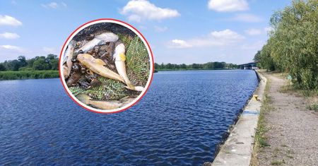 Znaleźli je w Odrze. Natychmiast powiadomili służby. Alarm w Szczecinie