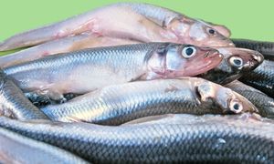 Kiedyś Polacy się zajadali, dziś niewielu pamięta. Ogromny błąd