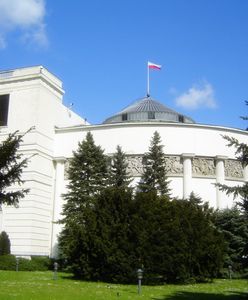 Kancelaria chciała kupić auto dla psów. Pojazd miał kosztować 300 tys. zł