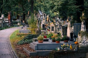 Bez zniczy i pomników. Tylko drzewa. Nowy cmentarz powstaje na Śląsku