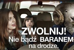 GITD radzi: nie bądź baranem