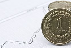 Deficyt w budżecie po styczniu 2014 r. wyniósł 2 mld 601 mln zł