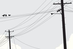 Energia elektryczna z odpadów zamiast z węgla czy gazu