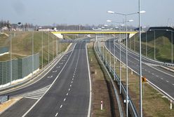 Pleśń stworzyła mapę autostrad w Kanadzie - niezwykły eksperyment