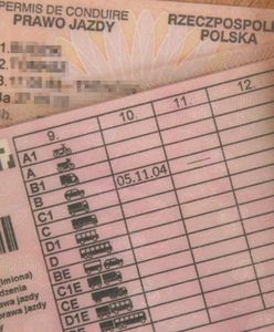 Liczbę punktów karnych sprawdzimy przez internet