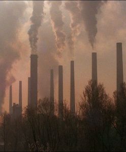 Donald Trump to katastrofa dla Ziemi?