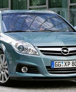 Opel Signum: czy zakup luksusowego hatchbacka ma sens?