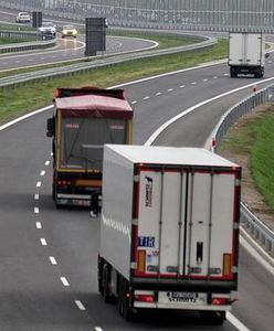 Chińczycy otworzyli w Gdyni fabrykę naczep samochodowych