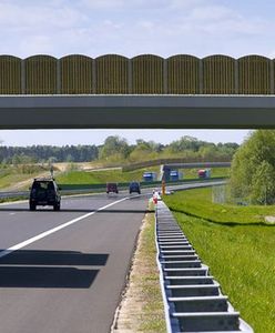 Włosi mają problem z obcokrajowcami, którzy nie płacą za autostrady