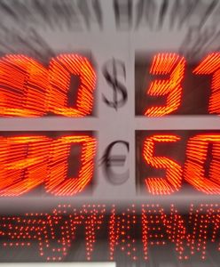 Dzień pełen wrażeń