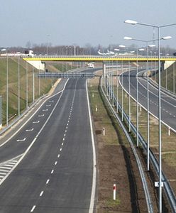 Pleśń stworzyła mapę autostrad w Kanadzie - niezwykły eksperyment