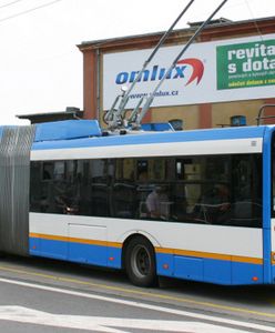W Tallinnie za darmo autobusem