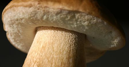Jesienią szukajmy jej w pożywieniu. Mało kto wie, że te produkty to źródło witaminy D