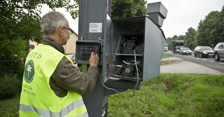 "Krokodylki" obchodzą 10 urodziny