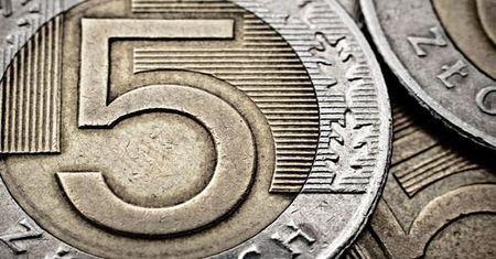 Korekta notowań polskiej waluty