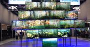 IFA 2013: Panasonic przedstawia urządzenia 4K
