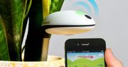 Koubachi Wi-Fi Plant Sensor - urządzenie, które przypilnuje twoich roślin