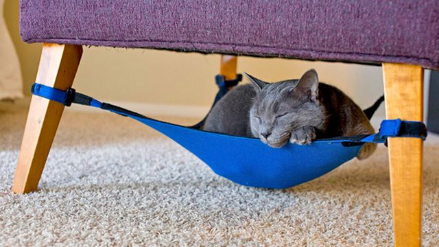 Cat Crib - hamak dla kota