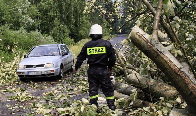 Wiatr potrafi być groźny