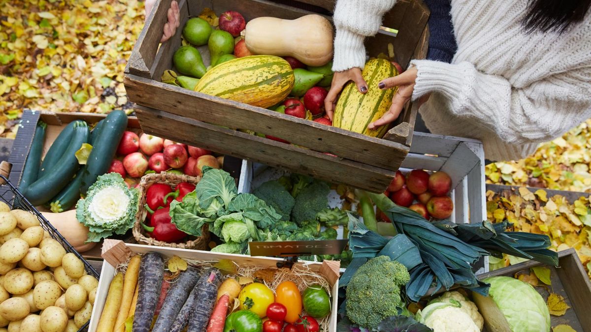 Jakie warzywa i owoce warto jeść we wrześniu?