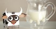 The Heifer Pitcher - dzbanek do mleka z ... wymionami