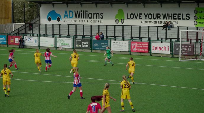 Squad Goals - Dorking Til I Die