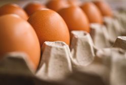 Jak rozpoznać świeże jajko? Wystarczy szklanka wody