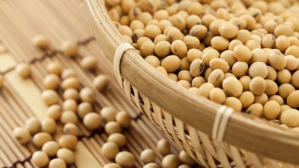 Soja gotowana z dodatkiem soli