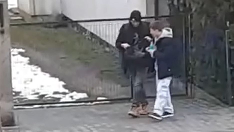 Chłopcy uratowali kotkę