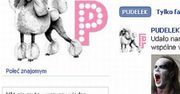 Po co Pudelkowi Facebook?