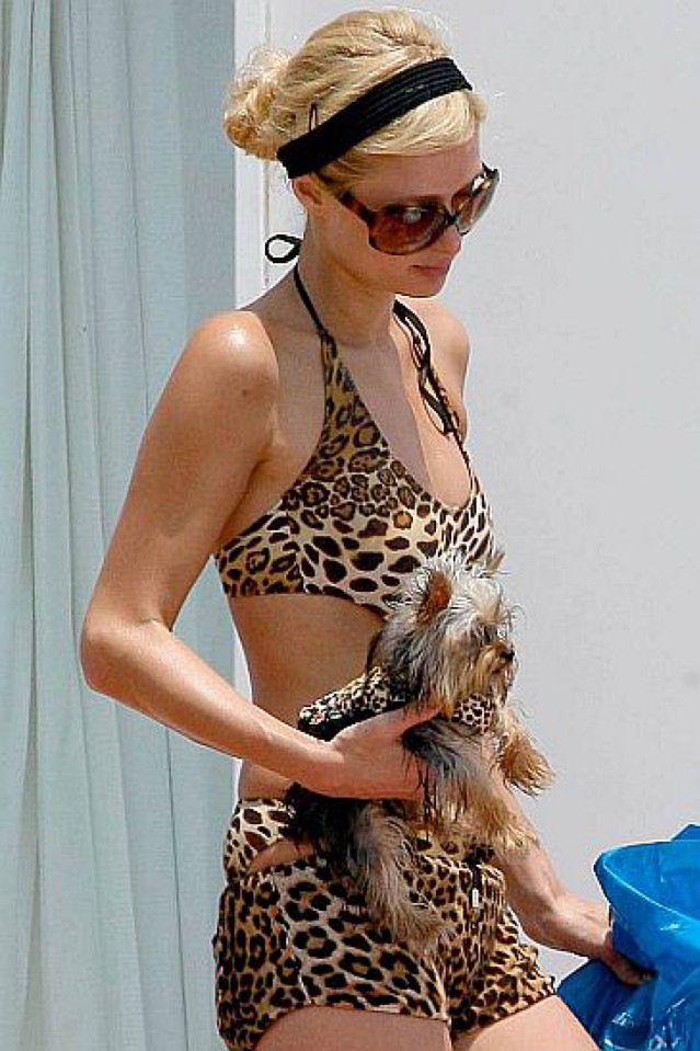Paris Hilton ubiera się tak jak jej pies!