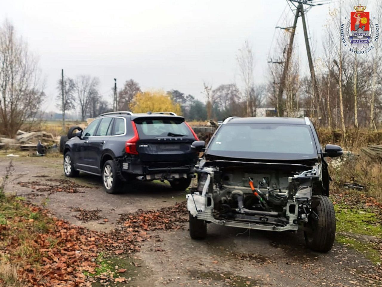 Policja uderzyła w gang samochodowy. Aresztowano 11 osób