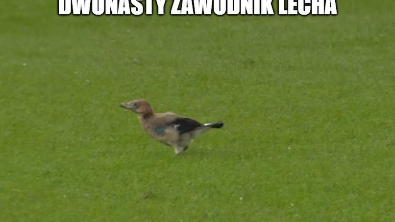 Zdjęcie okładkowe artykułu: 