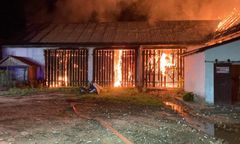 Dramat w Żukowie. Zwierzęta spłonęły żywcem w pożarze