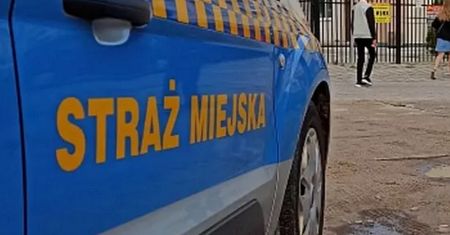 Prowadzą codzienne kontrole w Gdańsku. Chodzi o zmianę przepisów