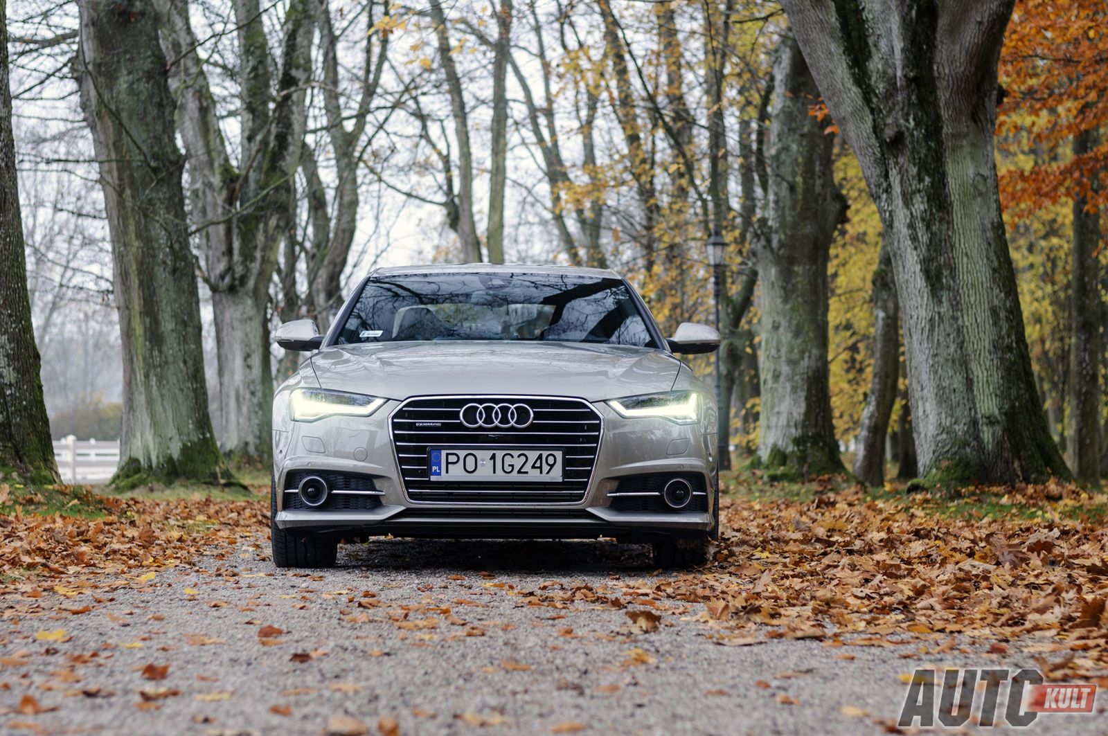 Nowe Audi A6 3,0 TDI BiTurbo, 3,0 TFSI - test [galeria zdjęć] 7