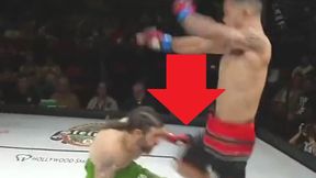 Co za nokaut! Tak efektownej akcji nie spodziewał się nikt