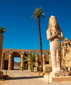 Niesamowite odkrycie w Egipcie. Brytyjczycy nie kryją ekscytacji