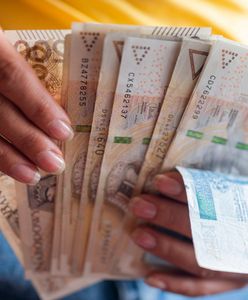Więcej niż na lokacie. Polacy pobili rekord, wykręcają zyski 50 proc.
