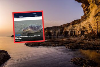 Natknęli się na niego na plaży. Miał widoczne obrażenia. Ktoś zabił go specjalnie?