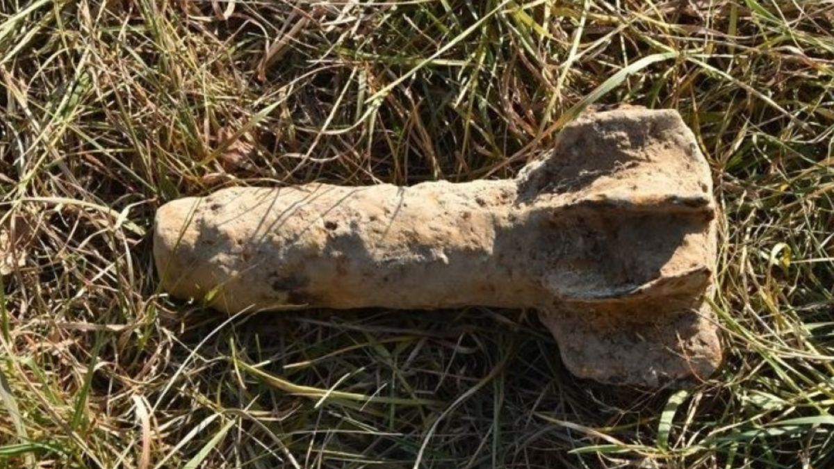 Wyjechał w pole kopać ziemniaki, znalazł niewybuch.